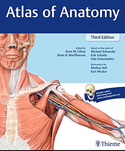 sobotta atlas of human anatomy pdf free download