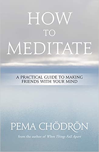 How to Meditate A Practical Guide to Making Friends with Your Mind