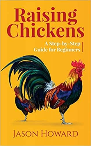 Raising Chickens A Step-by-Step Guide for Beginners